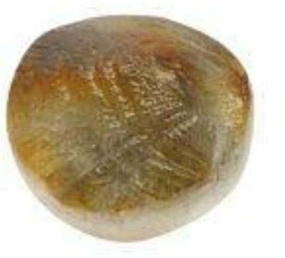 hoseki Machh Mani with Lab Certification stone Regular Asymmetrical Crystal Stone
