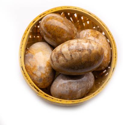 Plus Value Fossil-Coral-Tumble-Basket-200grams Polished Round Crystal Pebbles