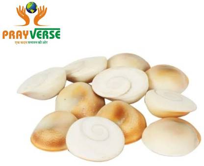 Prayverse Gomati Chakra Original/Gomti Chakra Stone/Gomathi Chakkaram for Lakshmi Regular Round Rock Stone
