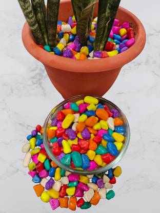 Pebblefy Multi-Color Pebble Stone 2 Kg Painted, Polished Asymmetrical Rock Pebbles