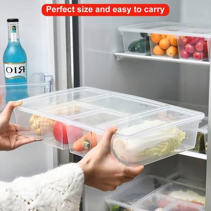 DEW MAT Multipurpose Plastic Storage Box with 5 Dividers (Transparent), Rectangular Storage Box