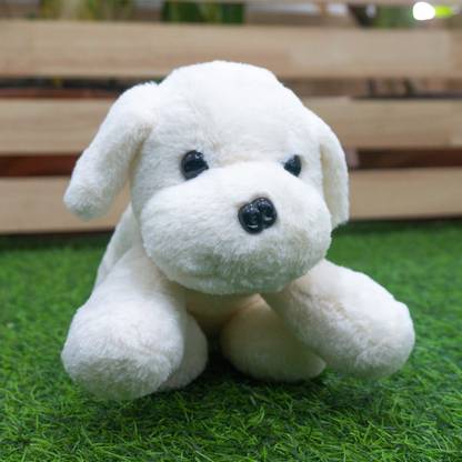 Baby Story Plush Soft/Stuffed Animal Toy for 6+ Month Kids | Cuddly Soft Toy (Lazy Dog)  - 25 cm