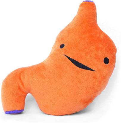 TEDDYHUBS Stomach Plush Stuffed Organ Plush Toy For Kids Nurses, Medical Students,Surgery  - 30 cm