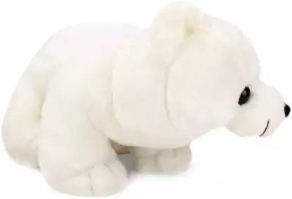 AVS Super Soft Polar Bear Stuffed Plush Toy-  - 30 cm