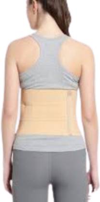 DFDD backbelt Back / Lumbar Support