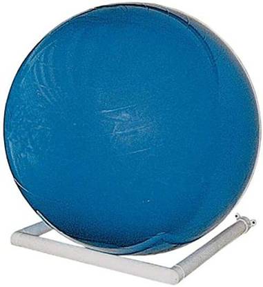 Riversedge Products Storage Rack Exercise Ball Wall Mount White Back / Lumbar Support