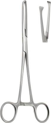 Avis Allis Forceps Surgical Instrument Stainless Steel Gynecology and Obstetrics 6" Tissue Forceps