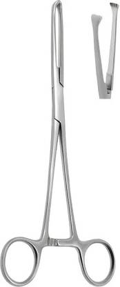 clark Allis Forceps Surgical Instrument Stainless Steel Gynecology 6 inch Tissue Forceps