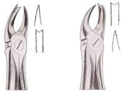 gplus Dental Cowhorn Forceps Left & Right (Pair) Tooth Extraction Utility Forceps