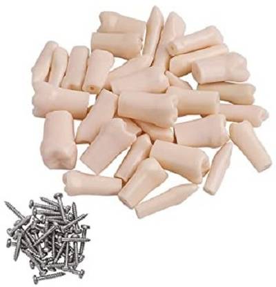 NMD DENTAL TOOL Typodont 32 Teeth Replace Practice Model (32 Pcs Set ) Surgical Plier