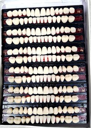 PRAKDENT Dental Acrylic Teeth Kit Sets Shade Of Teeth 25 / No Surgical Plier