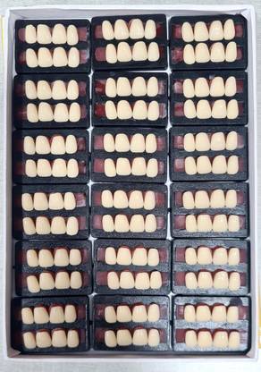 PRAKDENT Dental Acrylic Teeth Kit Sets Shade Of Teeth U4-24 /NO Surgical Plier