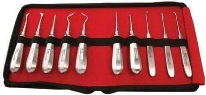 PRAKDENT Detnal Gdc Root Elevator Kit, Set of 10 pc /NO Surgical Plier
