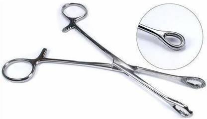 Forgesy Sponge Holding Forceps/Sponge Holder 8 Inch Straight Dissecting Scissors