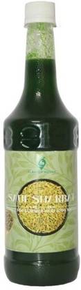 Flavour Mosaic Saunf Sharbat | Instant Summer Sharbat | Healthy Drink Premix | Saunf Syrup