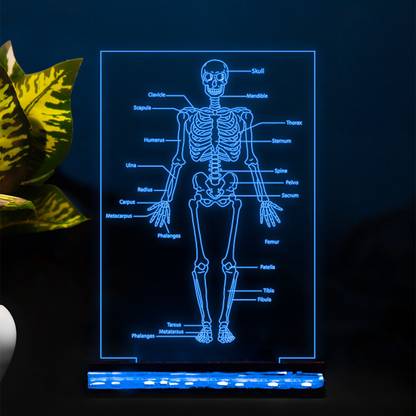StarLaser Skeleton of Human Body with Names 16 Color Changing Light Night Lamp