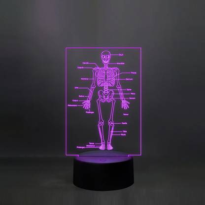 StarLaser Skeleton of Human Body with Names 7 Color Changing Light Table Lamp