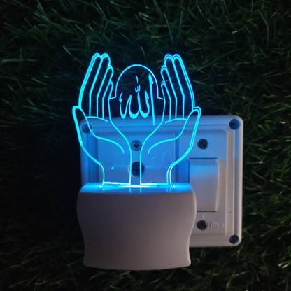 SKOAL Picture Light Wall Lamp With Bulb