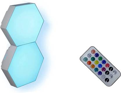 MS MODSTYLE Picture Light Wall Lamp With Bulb