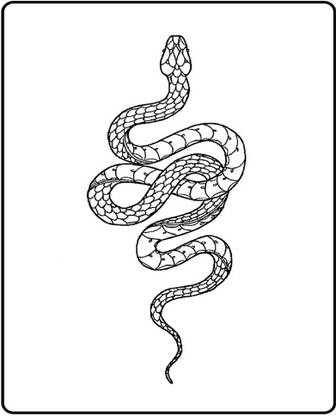 SIMPLY INKED Geometric Snake Semi Permanent Tattoo