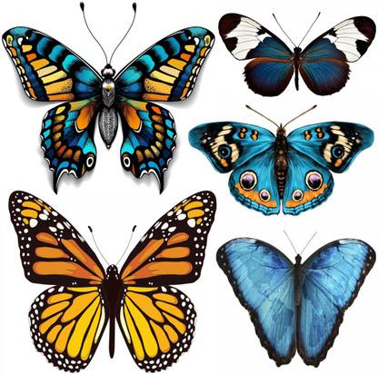 voorkoms Colourful Butterfly 5 Design Temporary Tattoo for Men and Women Sticker