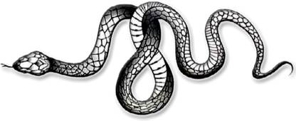 voorkoms Snake Tattoo Temporary Body Waterproof Boy and Girl Tattoo