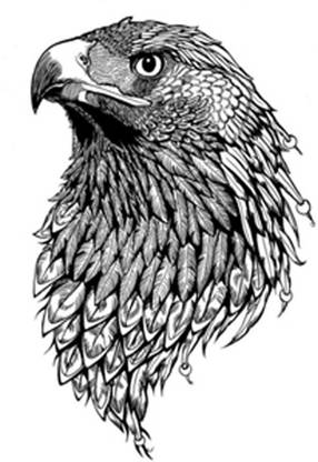 voorkoms eagle tattoo