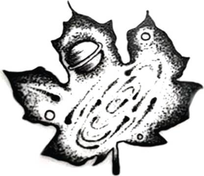 SIMPLY INKED Universe and Nature Temporary Tattoo, Designer Tattoo for all