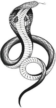 TATMODS Black Cobra Snake Real Temporary Tattoo Waterproof Tattoo For Men and Woman