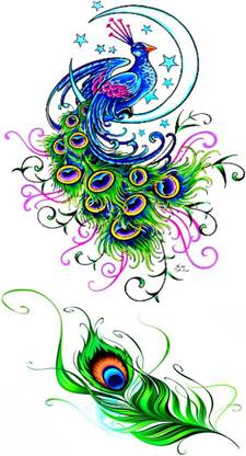 voorkoms peacock feather tattoo