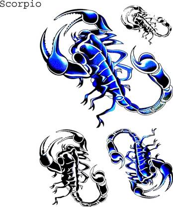 voorkoms Scorpio zodiac sign tattoo