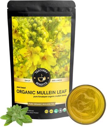 TEACURRY Organic Mullein Tea - Helps with Lung Detox & Skin Problems Assorted Herbal Tea Pouch