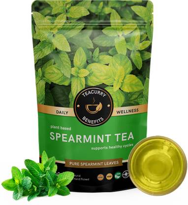 TEACURRY Spearmint Leaf Tea - 100 Gms Loose Tea | Helps in Hormone Imbalances, Facial Hair, Memory Assorted Herbal Tea Pouch