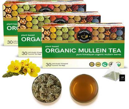 TEACURRY Organic Mullein Tea - Helps With Lung Detox and Skin Problems Herbal Tea Box