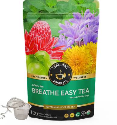 TEACURRY Anti Smoking Tea - Breathe Easy and Lung Detox Tea - Lung Cleanse Tea+ Infuser Assorted Green Tea Pouch