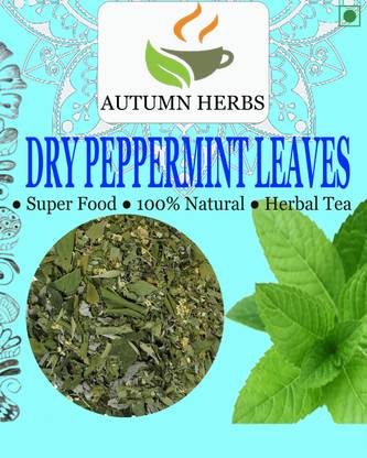 AUTUMN HERBS Mint Tea | Peppermint Tea 500 Gram | Herbal Tea for Stress Relief Tea Mint Herbal Tea Pouch