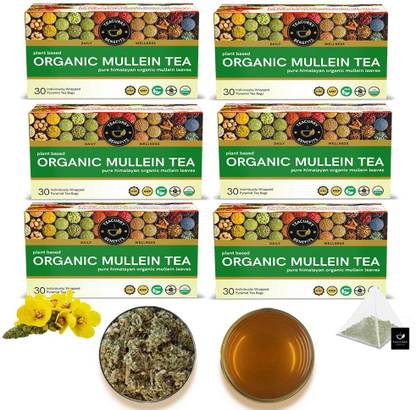 TEACURRY Organic Mullein Tea - Helps with Lung Detox & Skin Problems Assorted Herbal Tea Box
