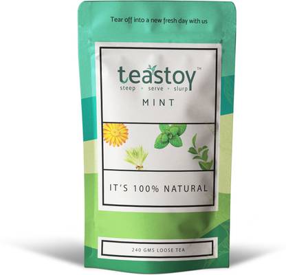 TEASTOY Ice Tea |Green Tea Mint| 1 Pouch ( 240 Grams/ 80 Cups ) Mint Tea Vacuum Pack
