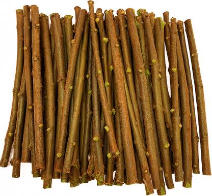 GAGAMINI NATURAL Babool Datun 9 inch (Pack of 20)+(2 pcs Other Ayurvedic Tree Datun Sticks Free) Teeth Wipe