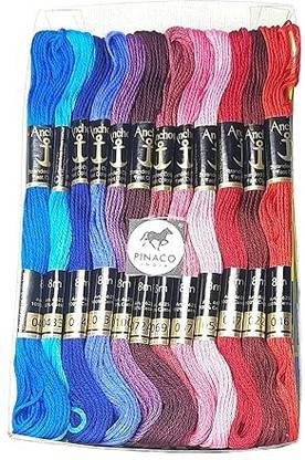PINACO INDIA multi colour Thread