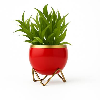 ganric Plant Container Set