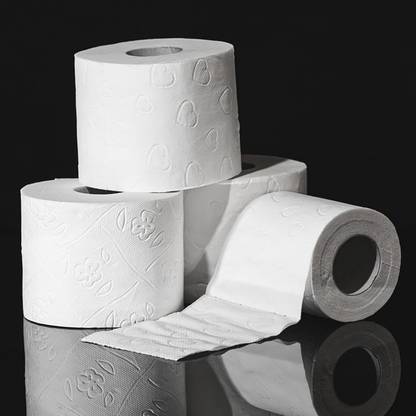 Everbite Eco friendly Soft Toilet Tissue Paper Rolls, Bathroom Tissue Roll Pack of 3 pcs Toilet Paper Roll