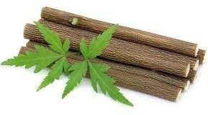 My Neem Datun Toothbrush Sanitizer