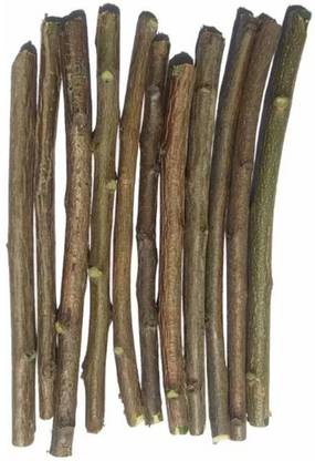 pisco Natural Neem Datun For Natural Clean Teeth Pack Of 10 Hard Toothbrush
