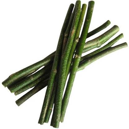 TIMOSHA || KARANJ - Datun/Twig/Datwan/Stick | 20 pcs. || Soft Toothbrush