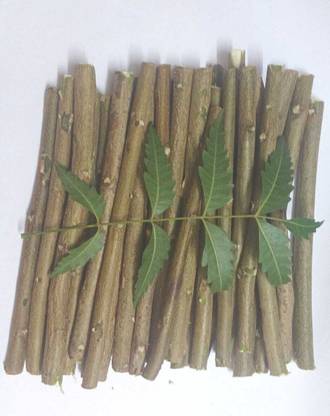 SIDH NATH ENTERPRISES NEEM DATUN NATURAL FRESH Medium Toothbrush