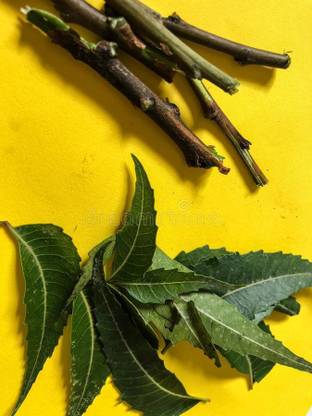 LAYYA PURE NEEM STICK Medium Toothbrush