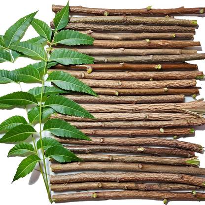 HRIM ENTERPRISE Natural Neem Chew Sticks/Tree Datun Twigs Organic Toothbrush Pack of 80 Medium Toothbrush
