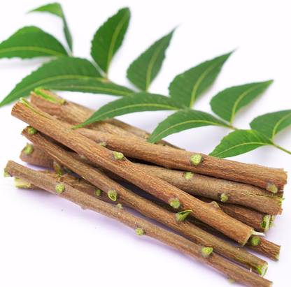 GOSHAN Neem Datun Sticks Medium Toothbrush