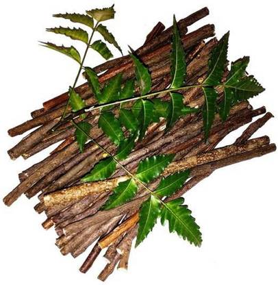 LEADWORT Desi datman Organic Neem Datun Chew Sticks Neem Twigs For Better Tooth, Gems, Toothpaste